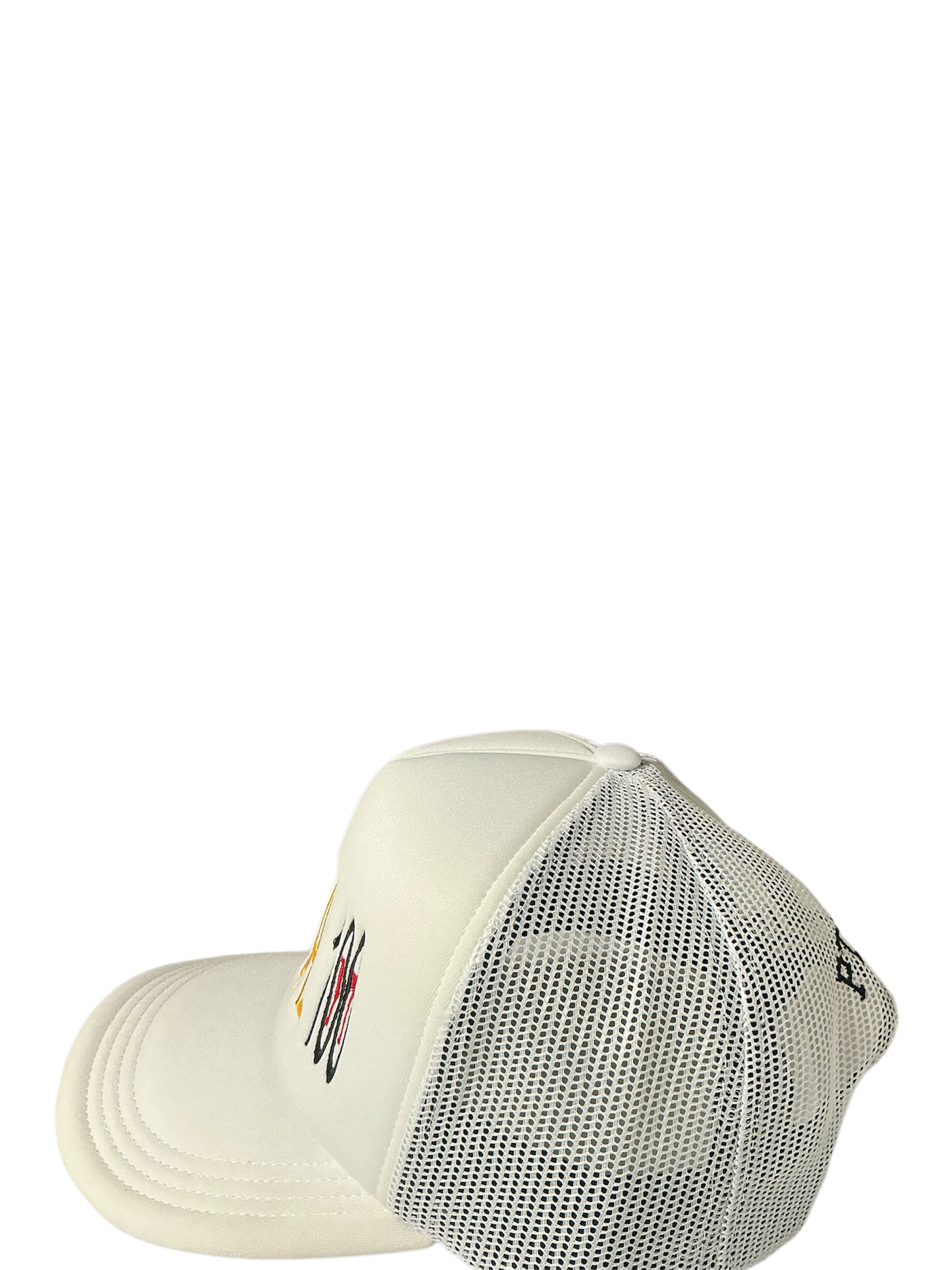 SnapBack Grizzoual 100 Hat