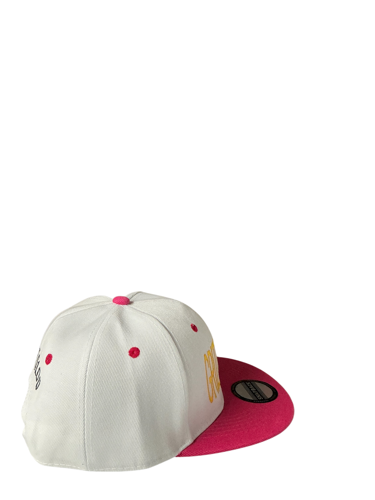 SnapBack Grizzoual 100 Hat