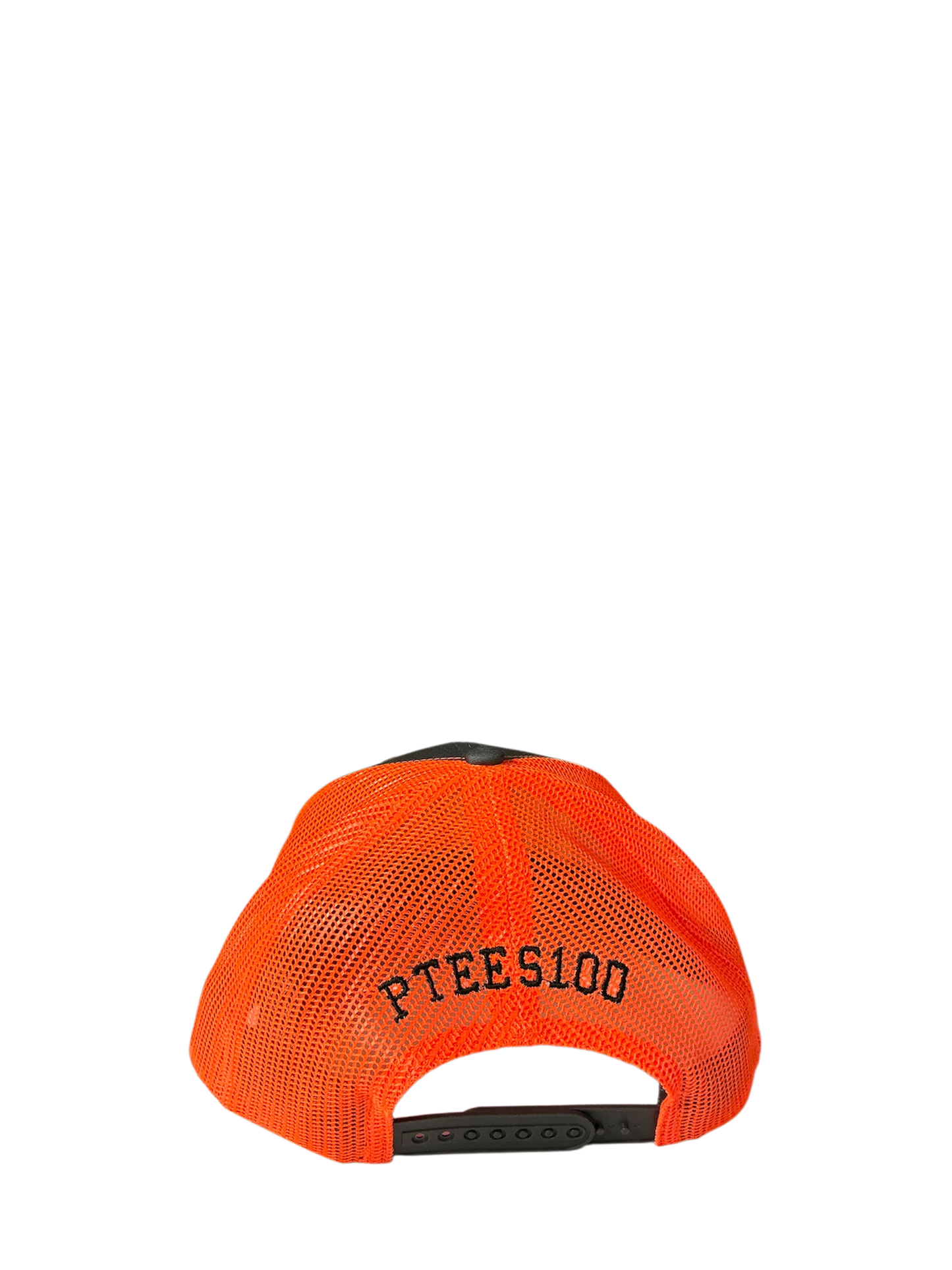 SnapBack Grizzoual 100 Hat