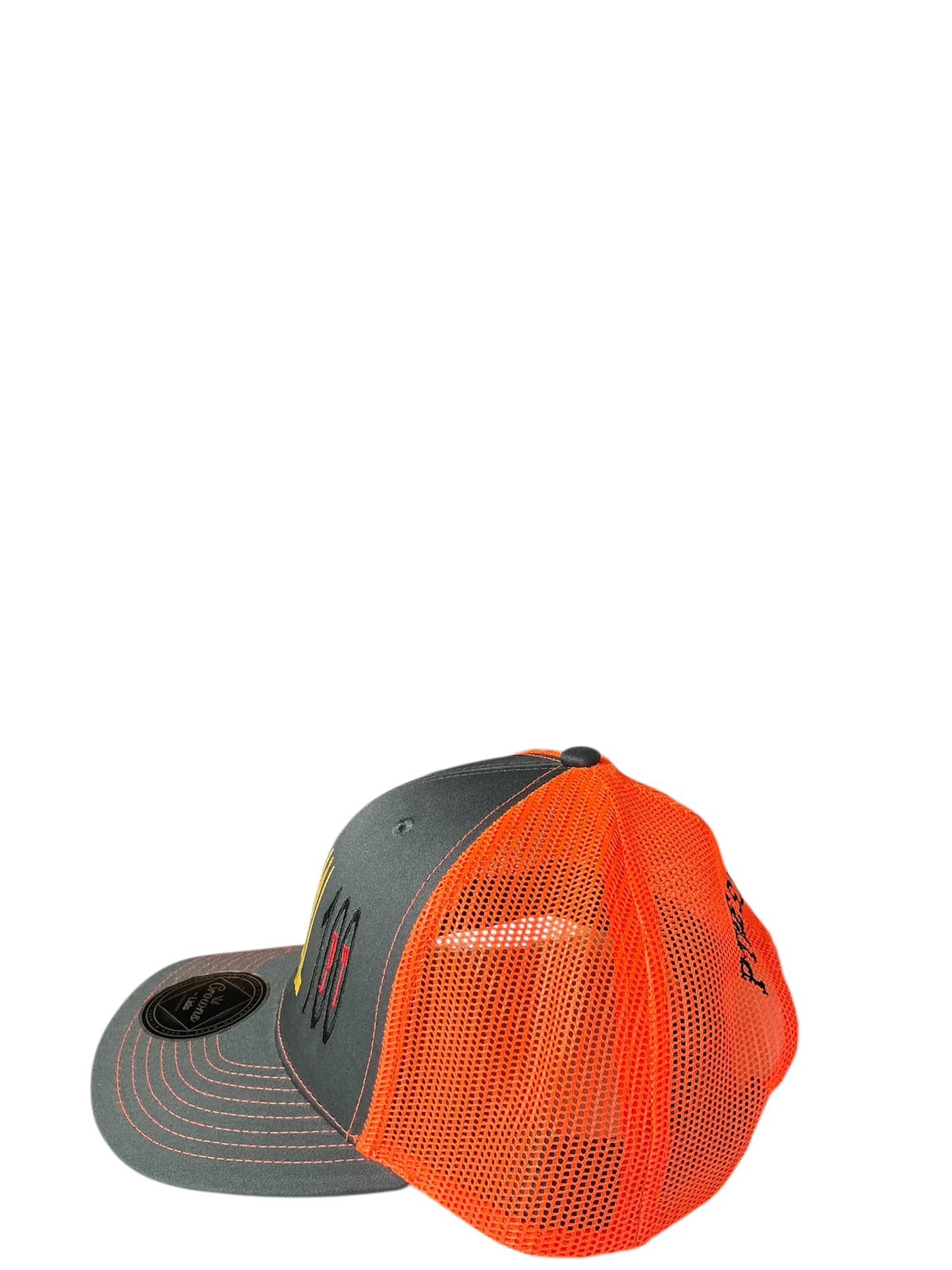 SnapBack Grizzoual 100 Hat