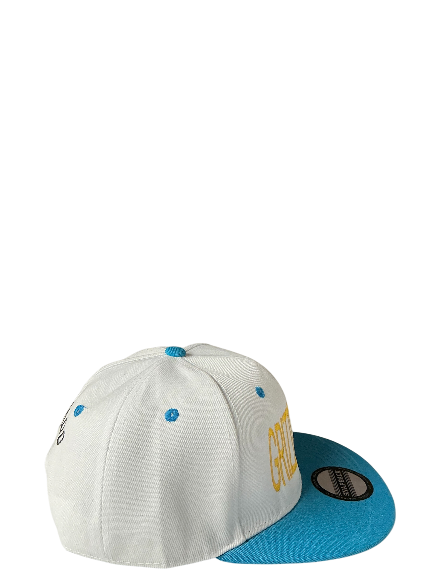 SnapBack Grizzoual 100 Hat