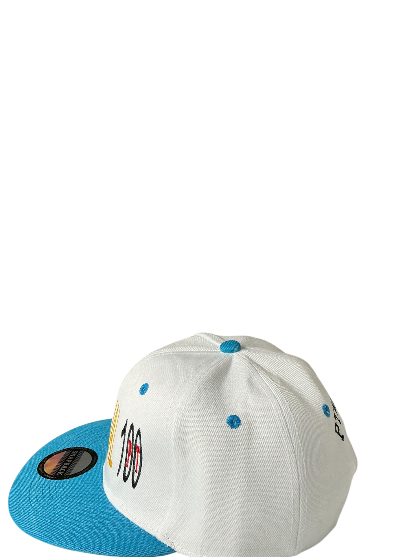 SnapBack Grizzoual 100 Hat