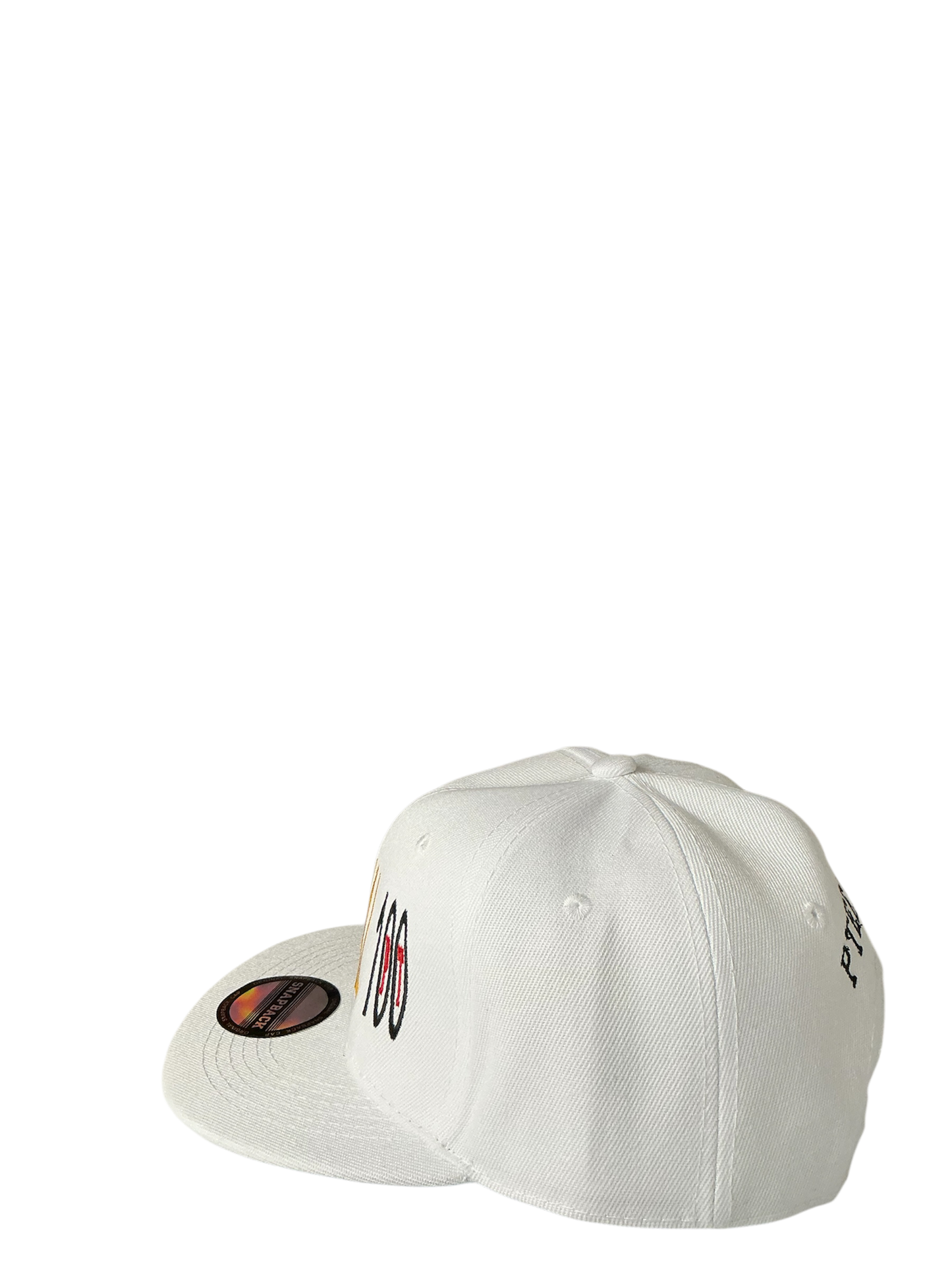 SnapBack Grizzoual 100 Hat