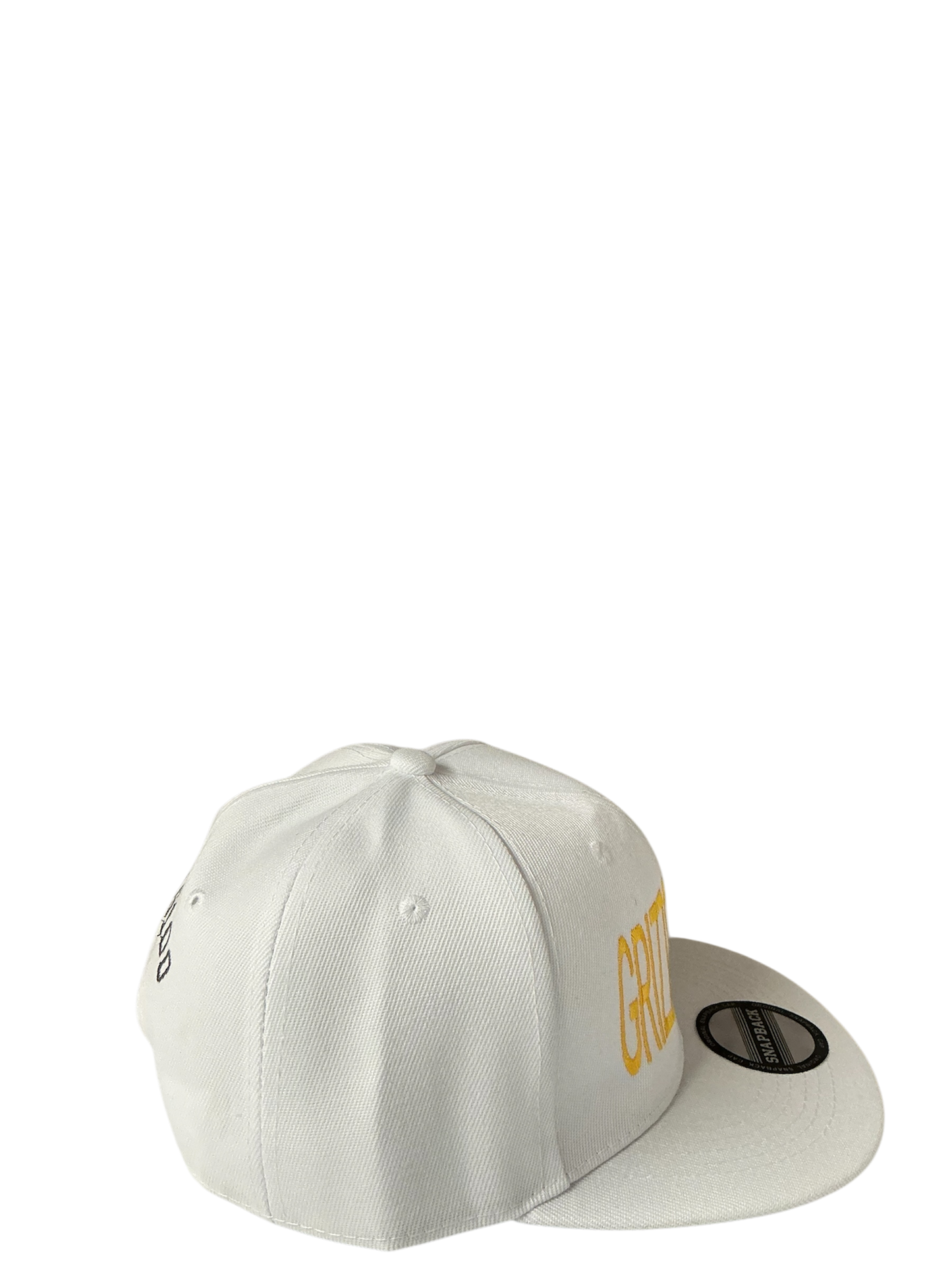 SnapBack Grizzoual 100 Hat