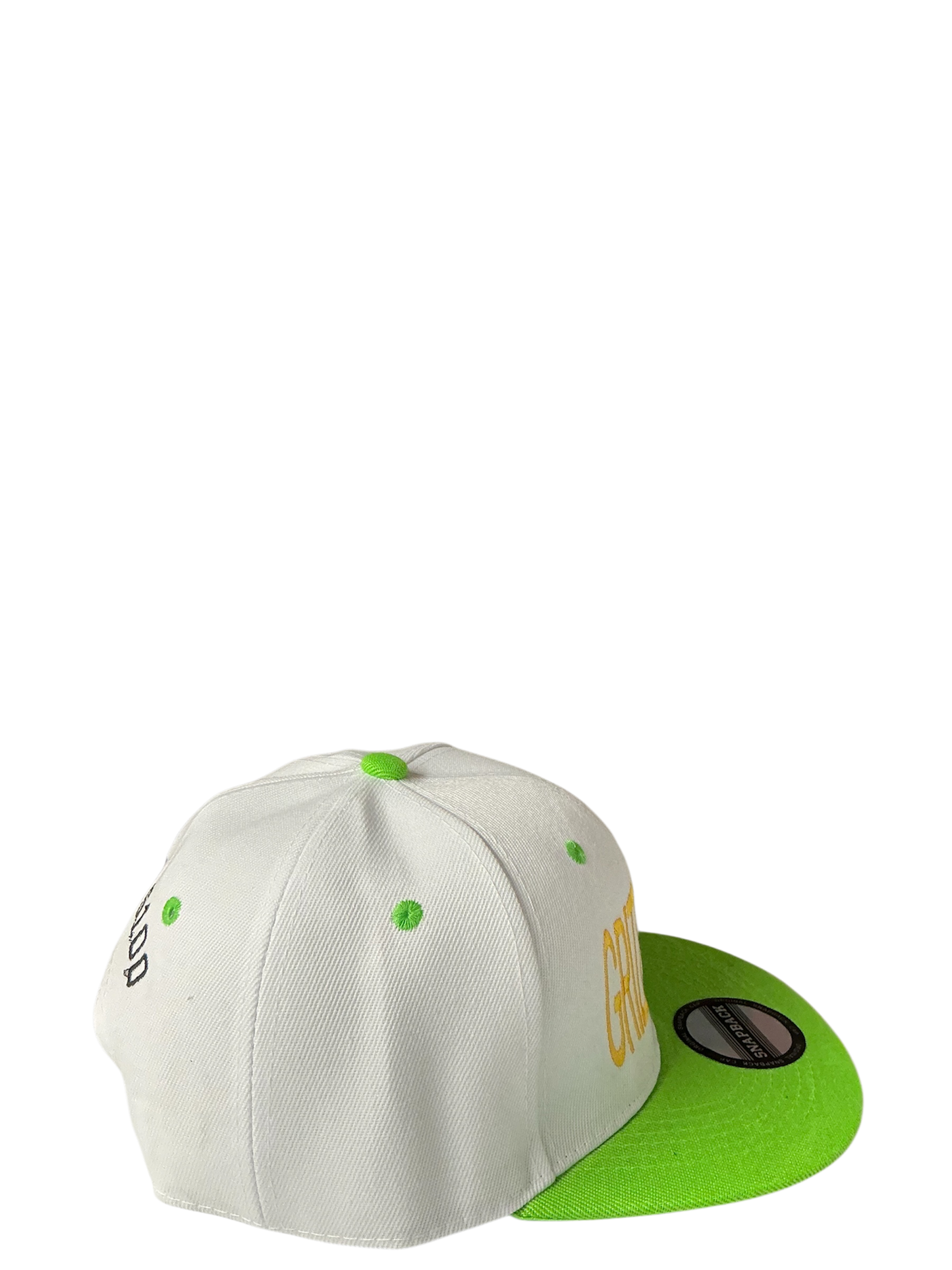 SnapBack Grizzoual 100 Hat