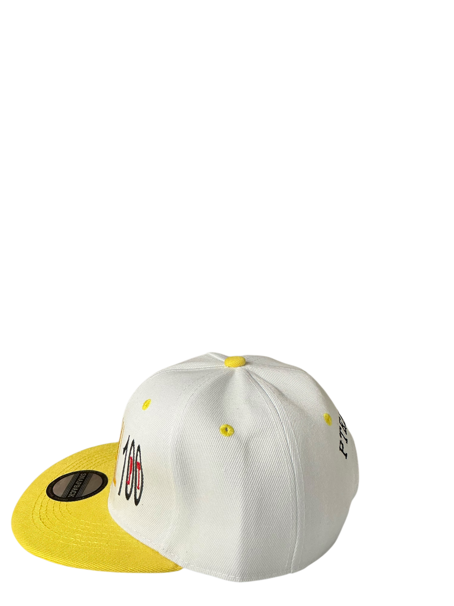 SnapBack Grizzoual 100 Hat