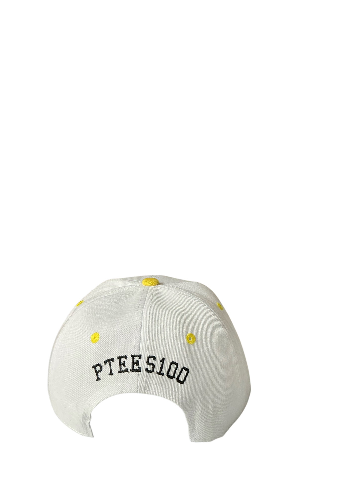 SnapBack Grizzoual 100 Hat