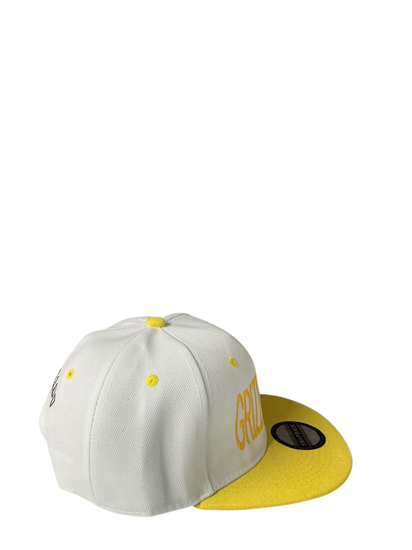 SnapBack Grizzoual 100 Hat