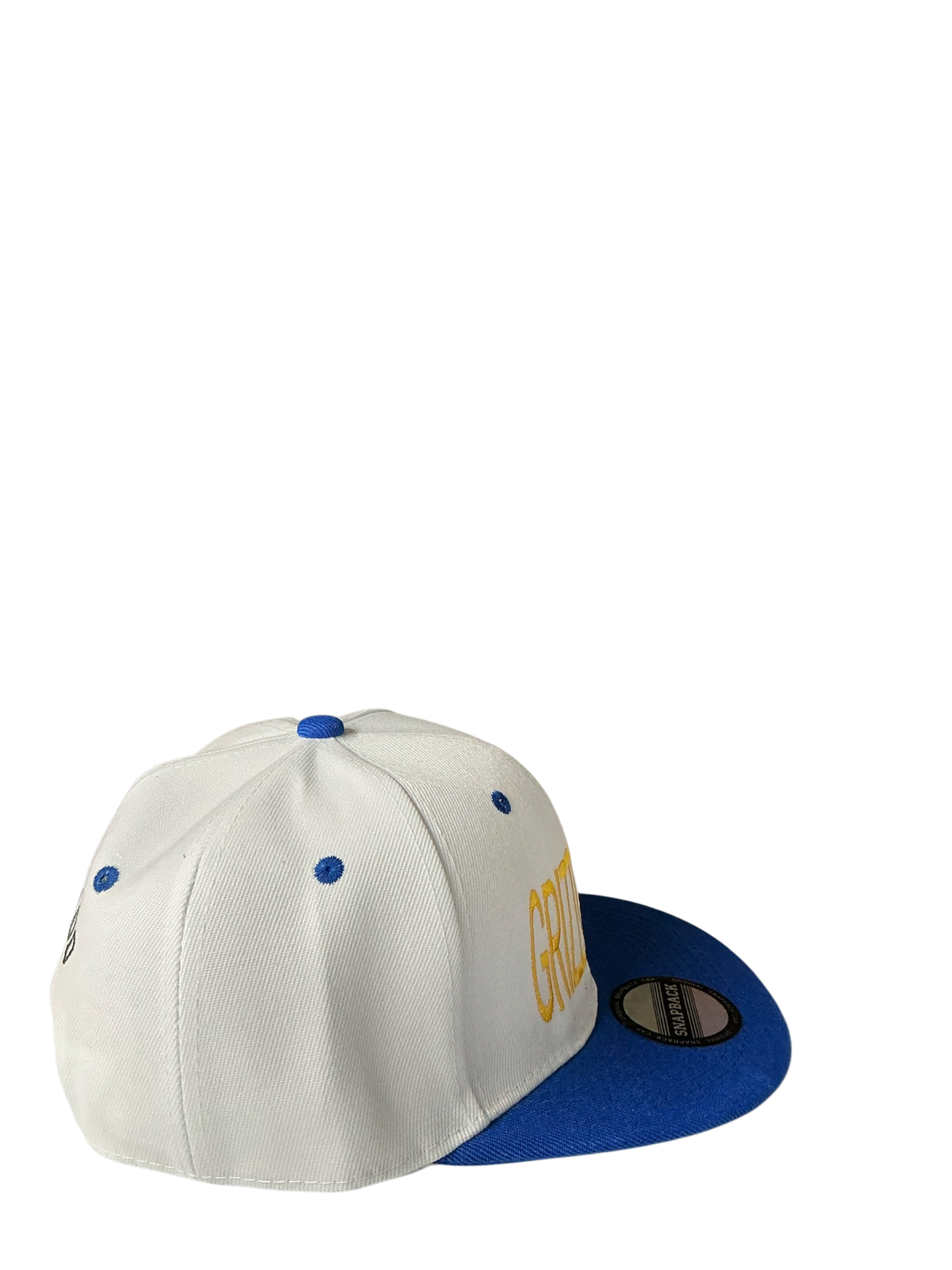 SnapBack Grizzoual 100 Hat