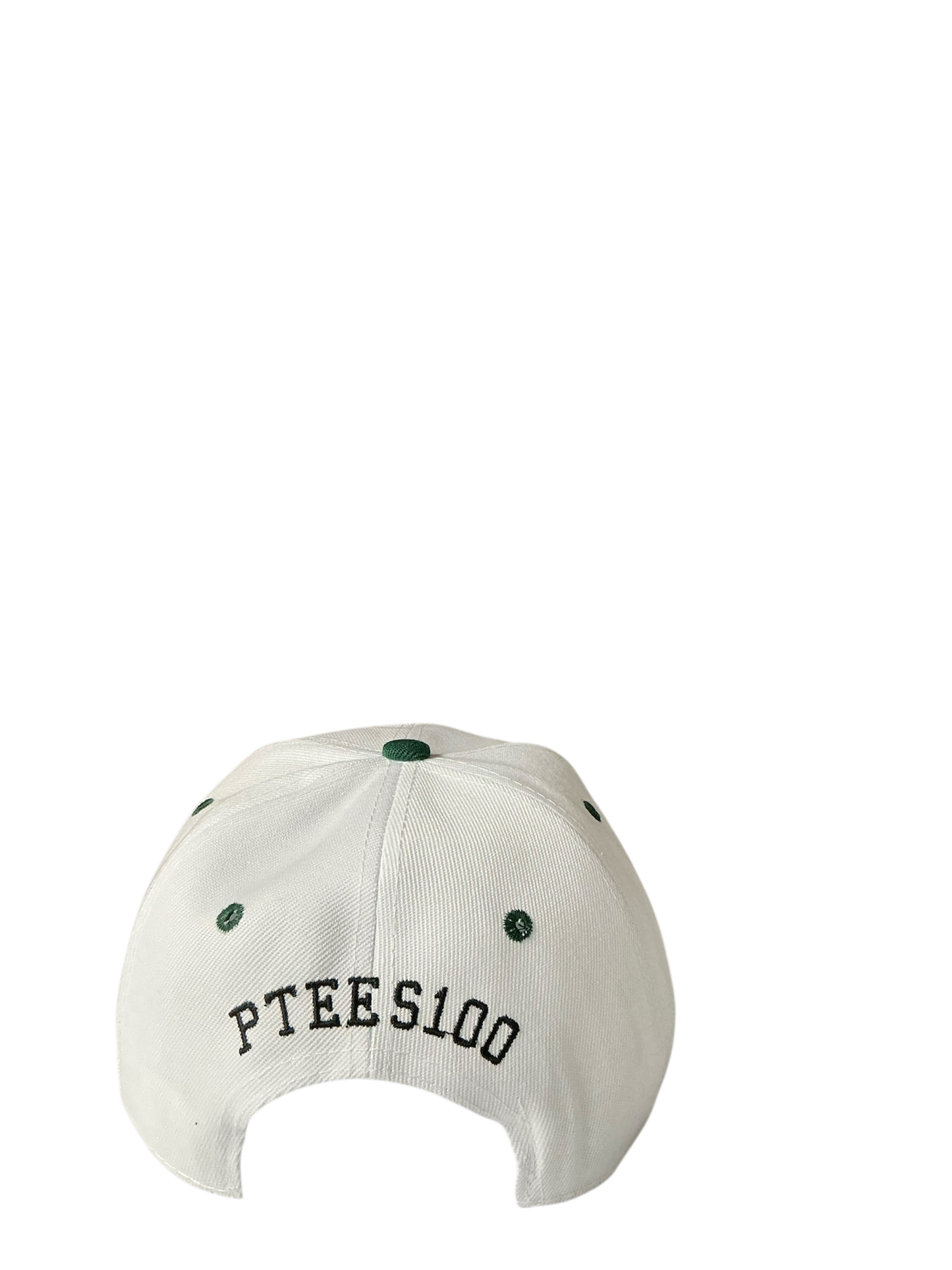 SnapBack Grizzoual 100 Hat