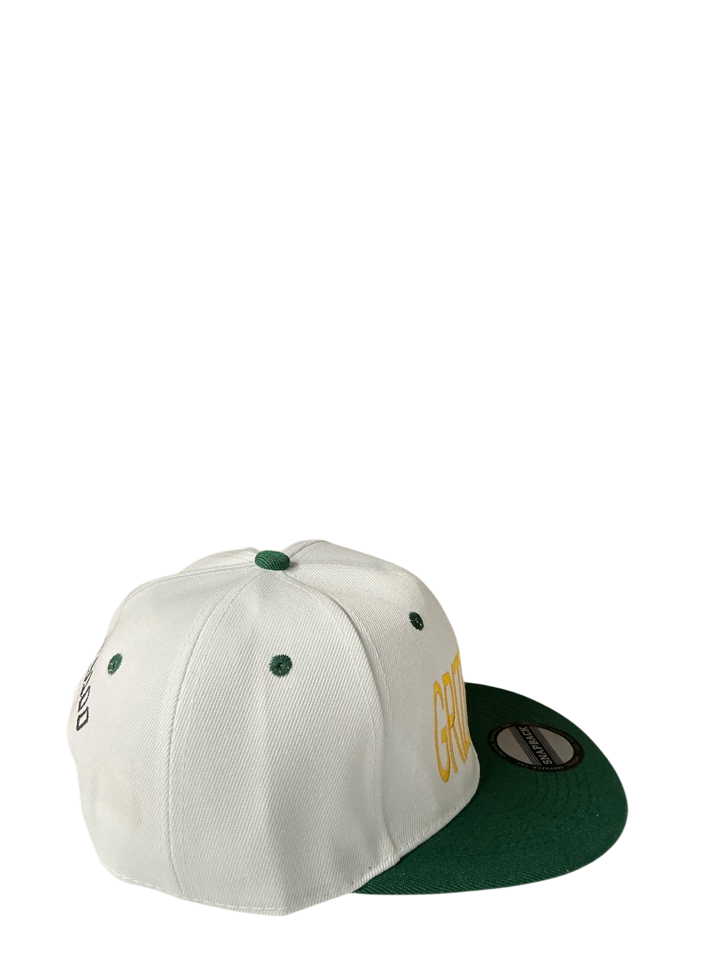 SnapBack Grizzoual 100 Hat