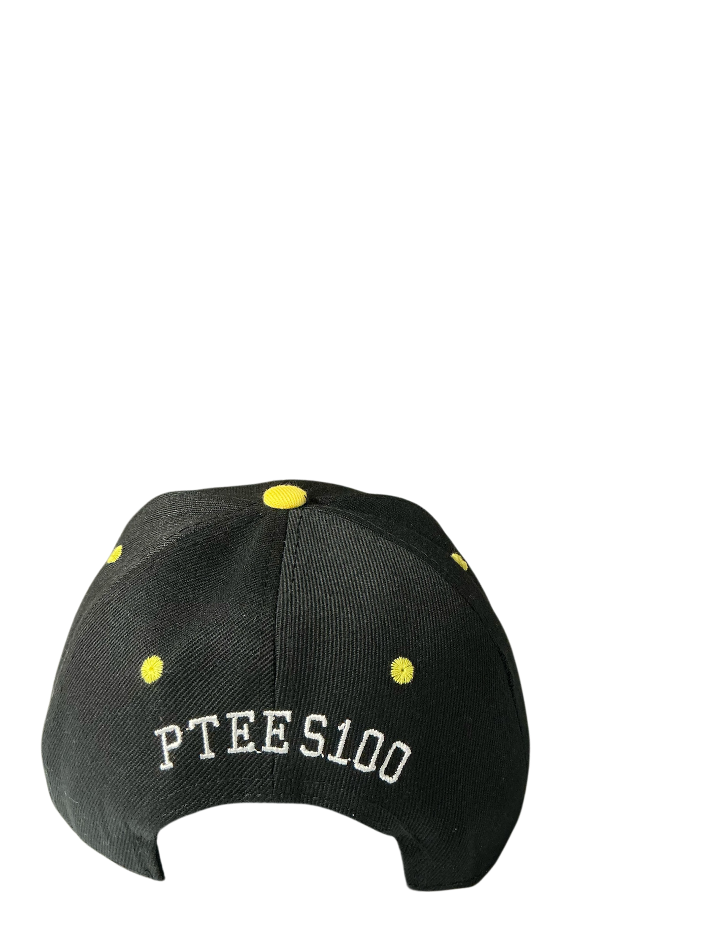 SnapBack Grizzoual 100 Hat
