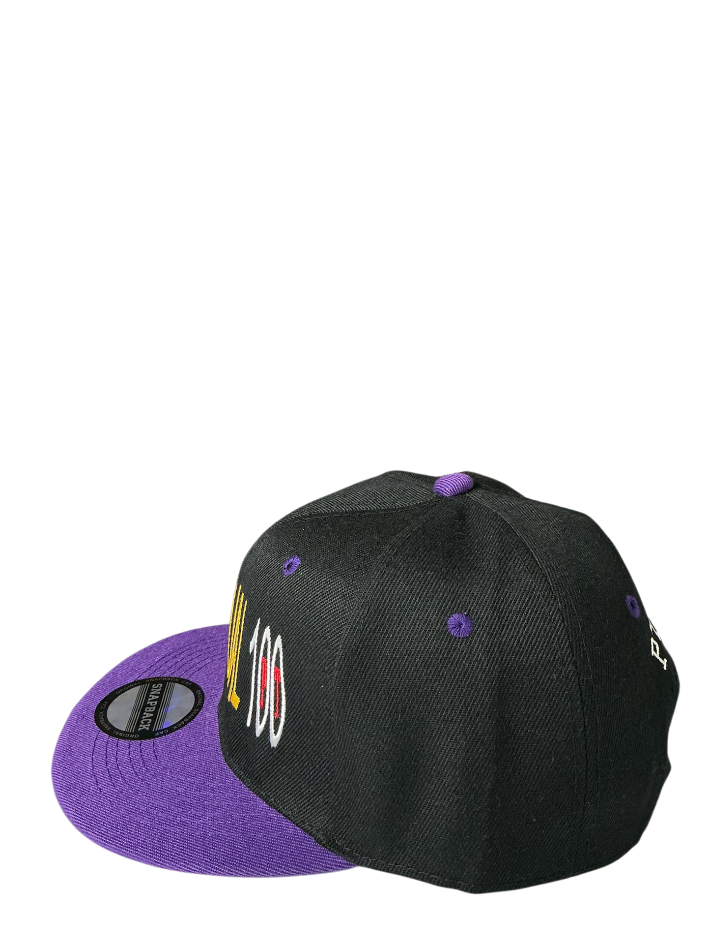 SnapBack Grizzoual 100 Hat
