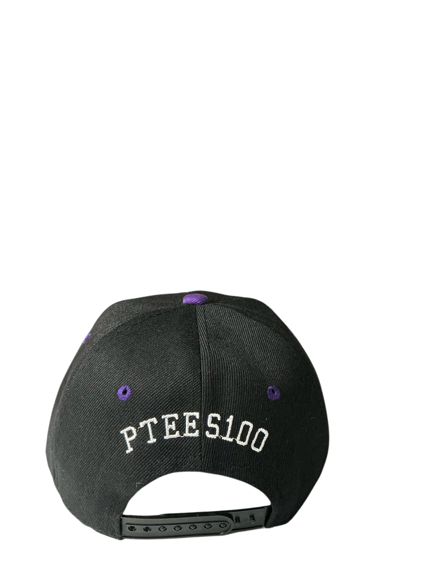 SnapBack Grizzoual 100 Hat