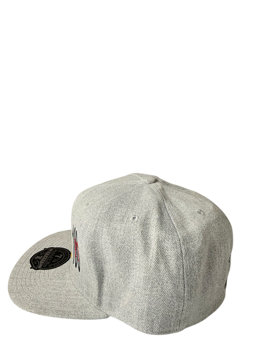 Fitted Grizzoual 100 Hat 7 1/2