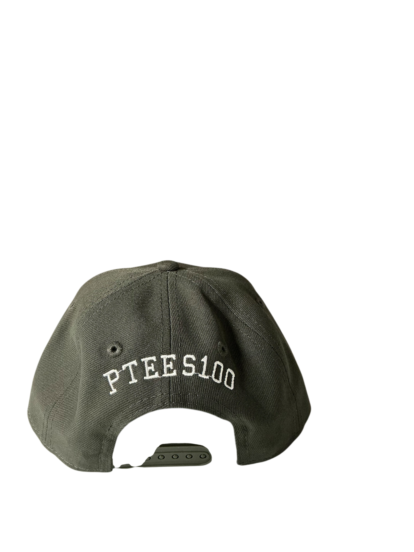 SnapBack Grizzoual 100 Hat