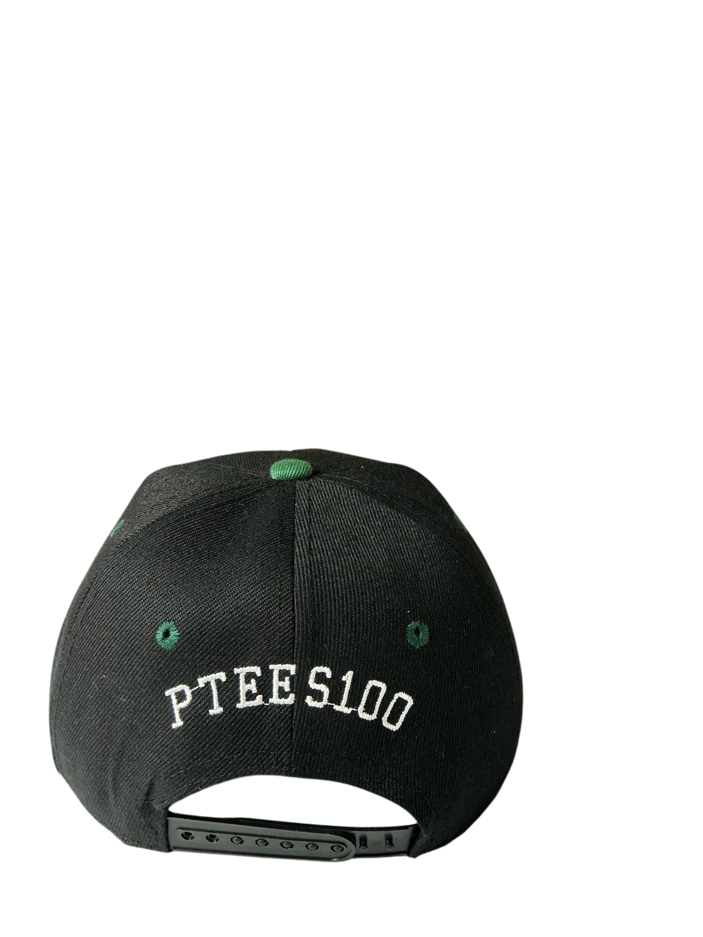 SnapBack Grizzoual 100 Hat