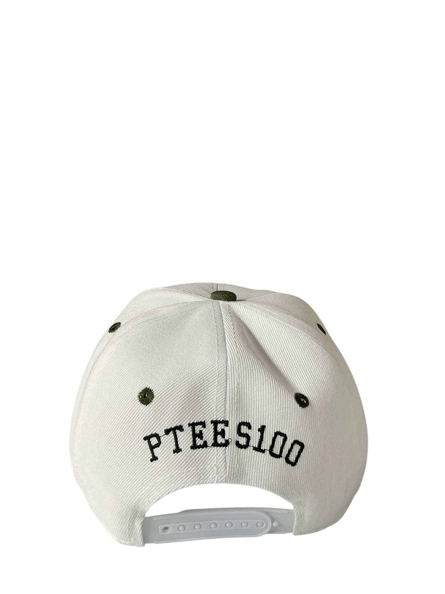 SnapBack Grizzoual 100 Hat