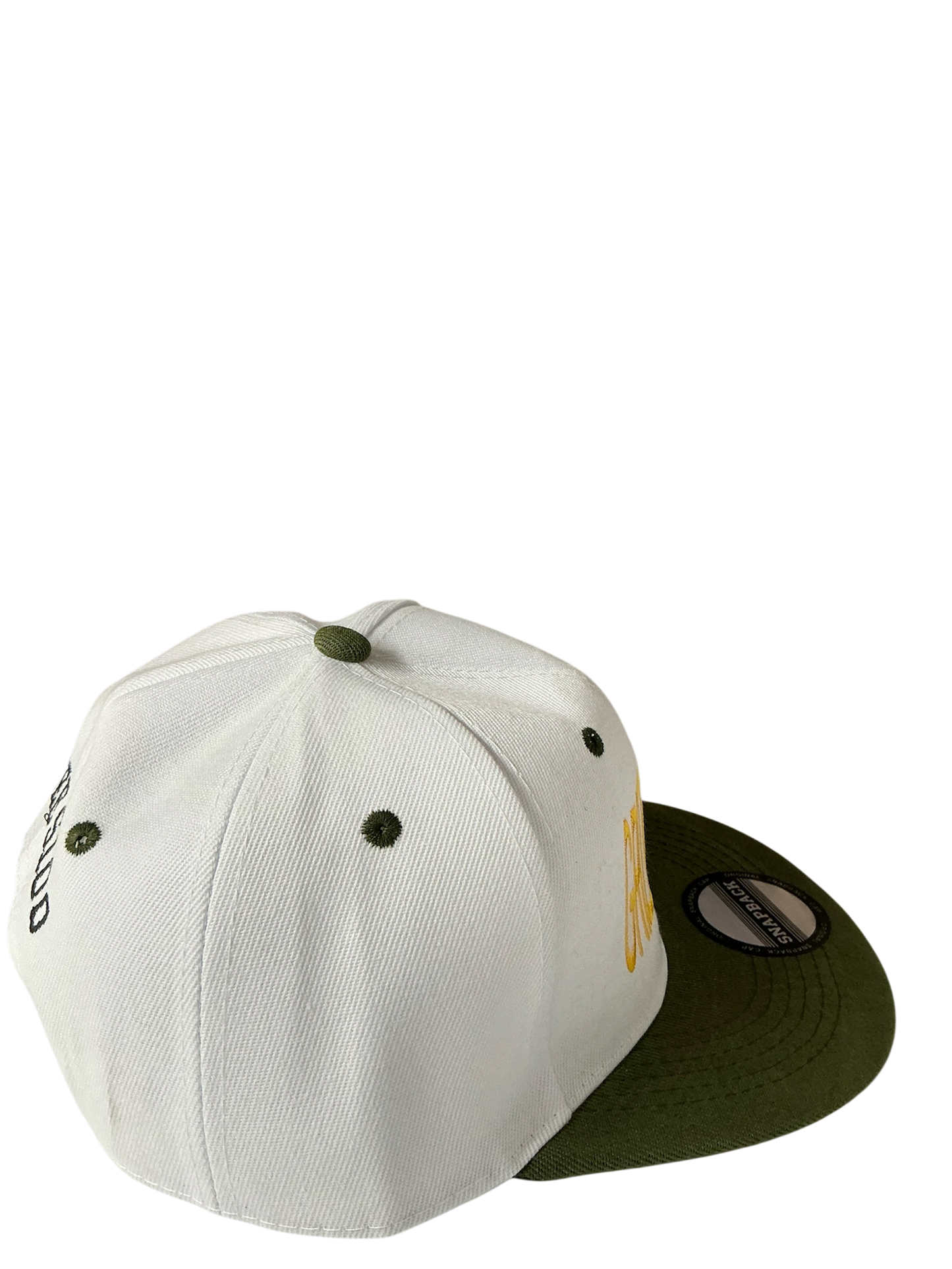 SnapBack Grizzoual 100 Hat