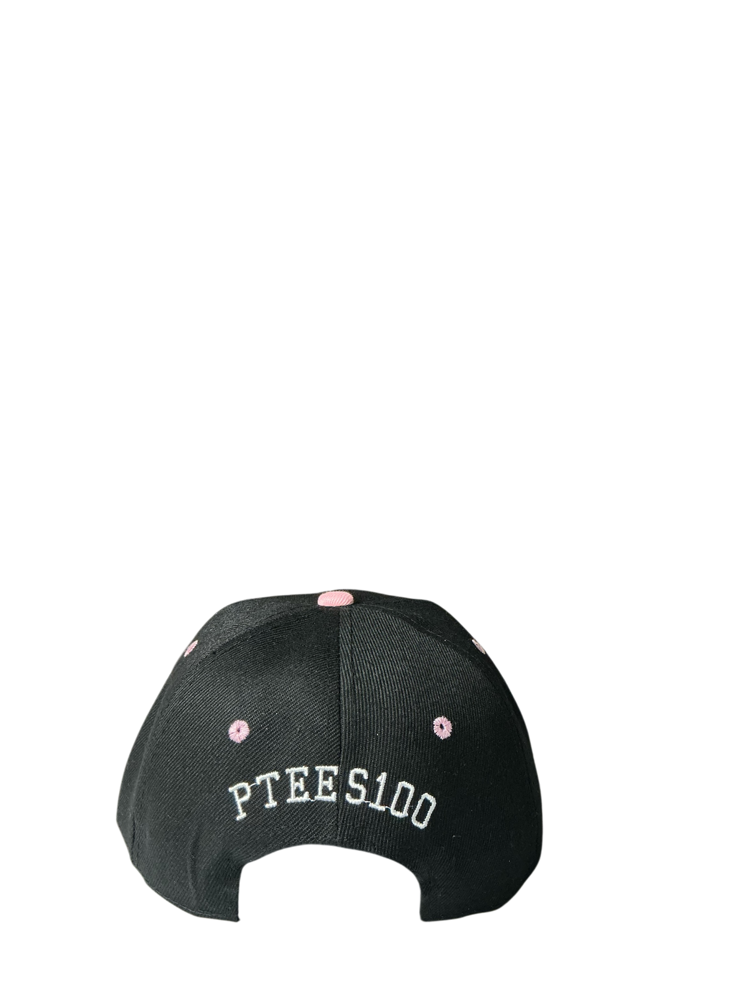 SnapBack Grizzoual 100 Hat