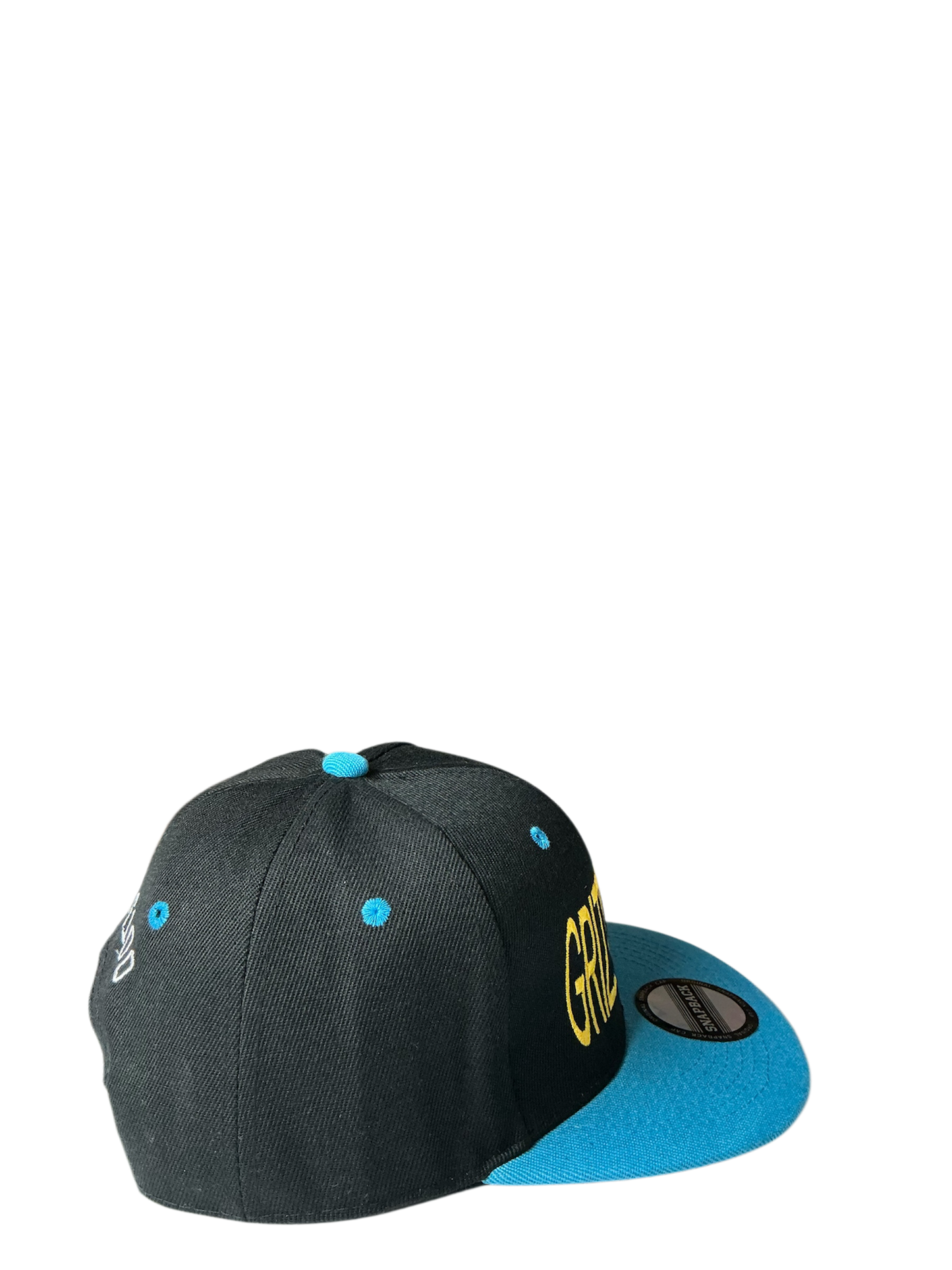 SnapBack Grizzoual 100 Hat