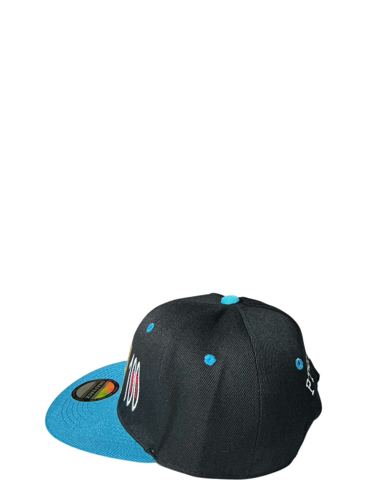 SnapBack Grizzoual 100 Hat
