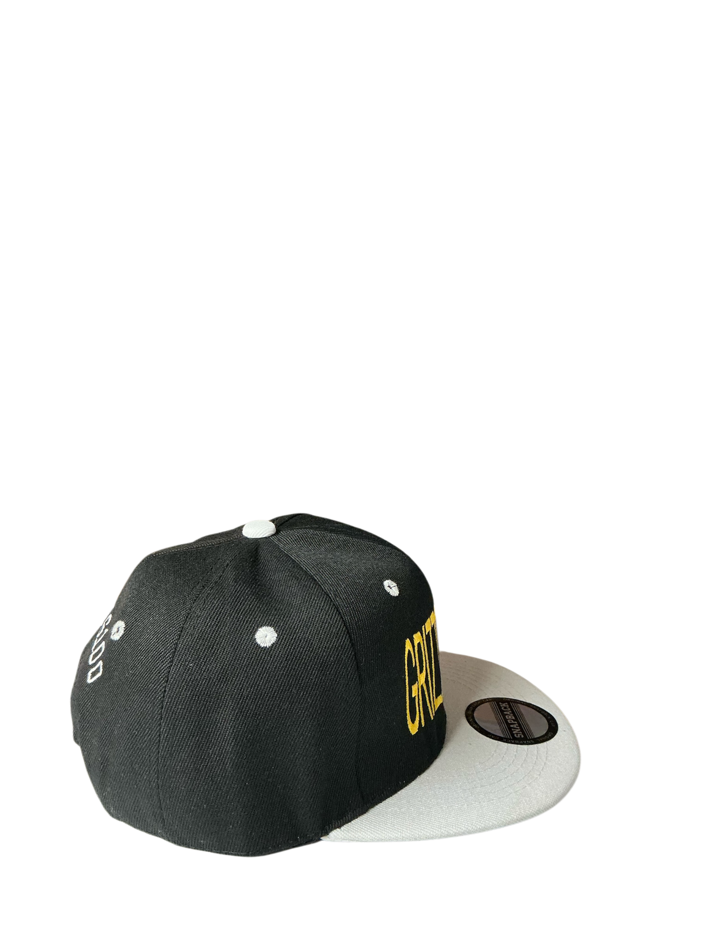 SnapBack Grizzoual 100 Hat