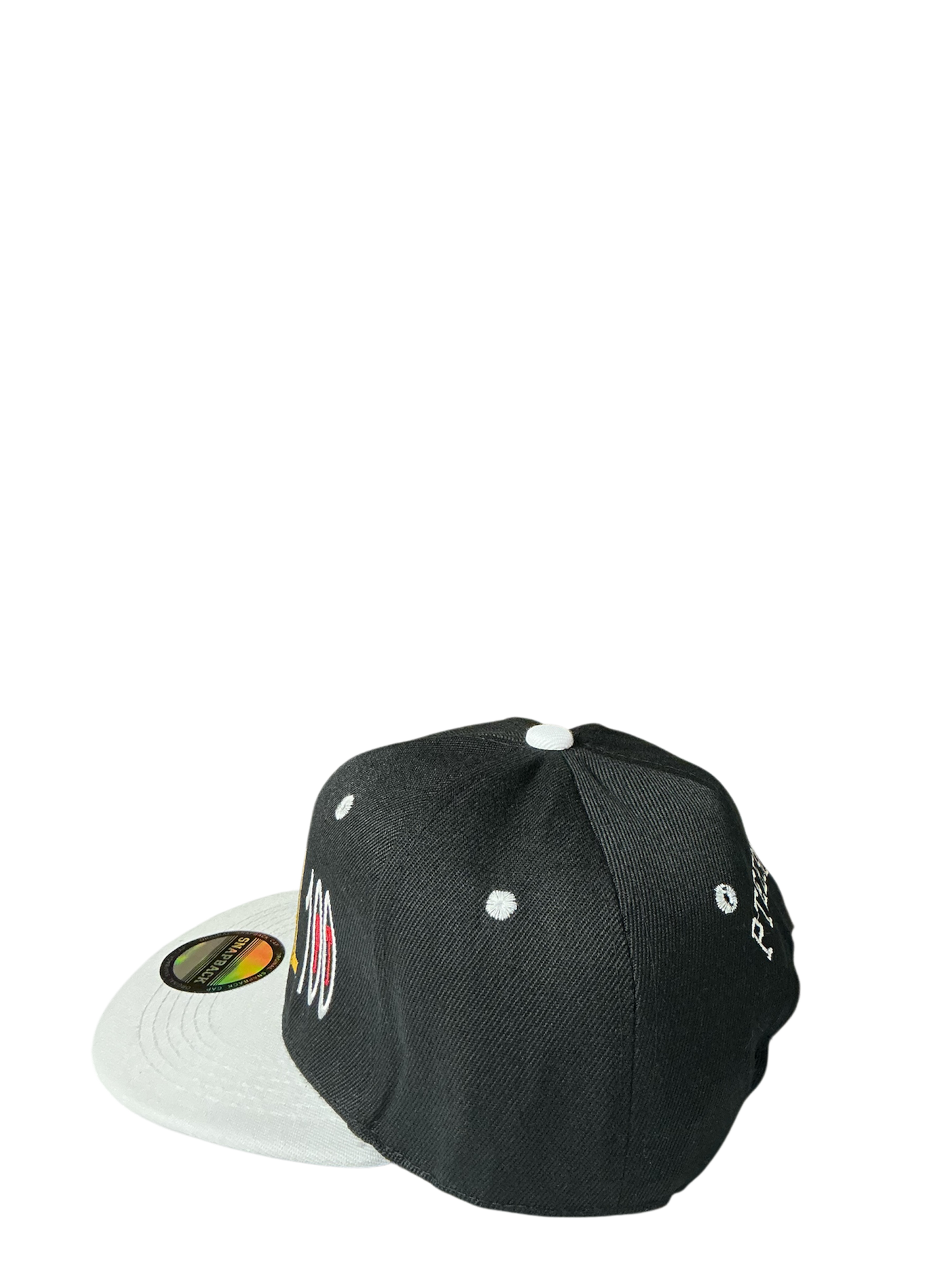 SnapBack Grizzoual 100 Hat