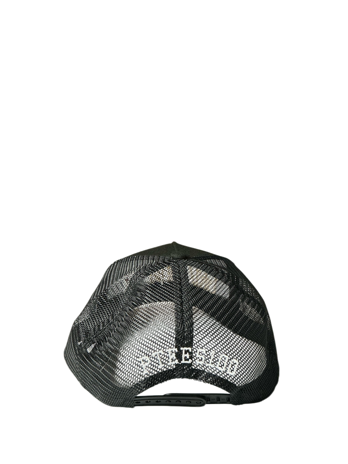 SnapBack Grizzoual 100 Hat
