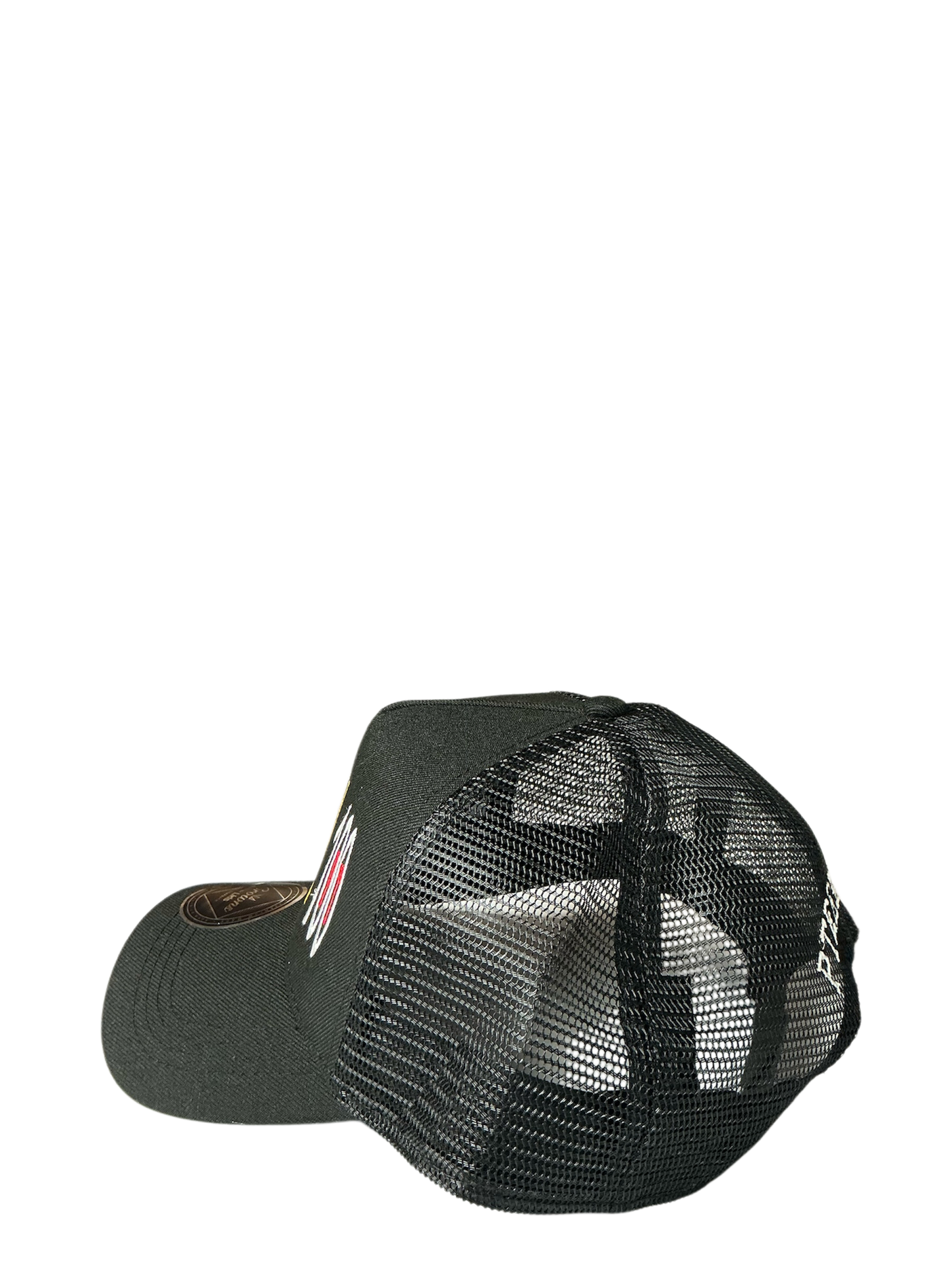 SnapBack Grizzoual 100 Hat