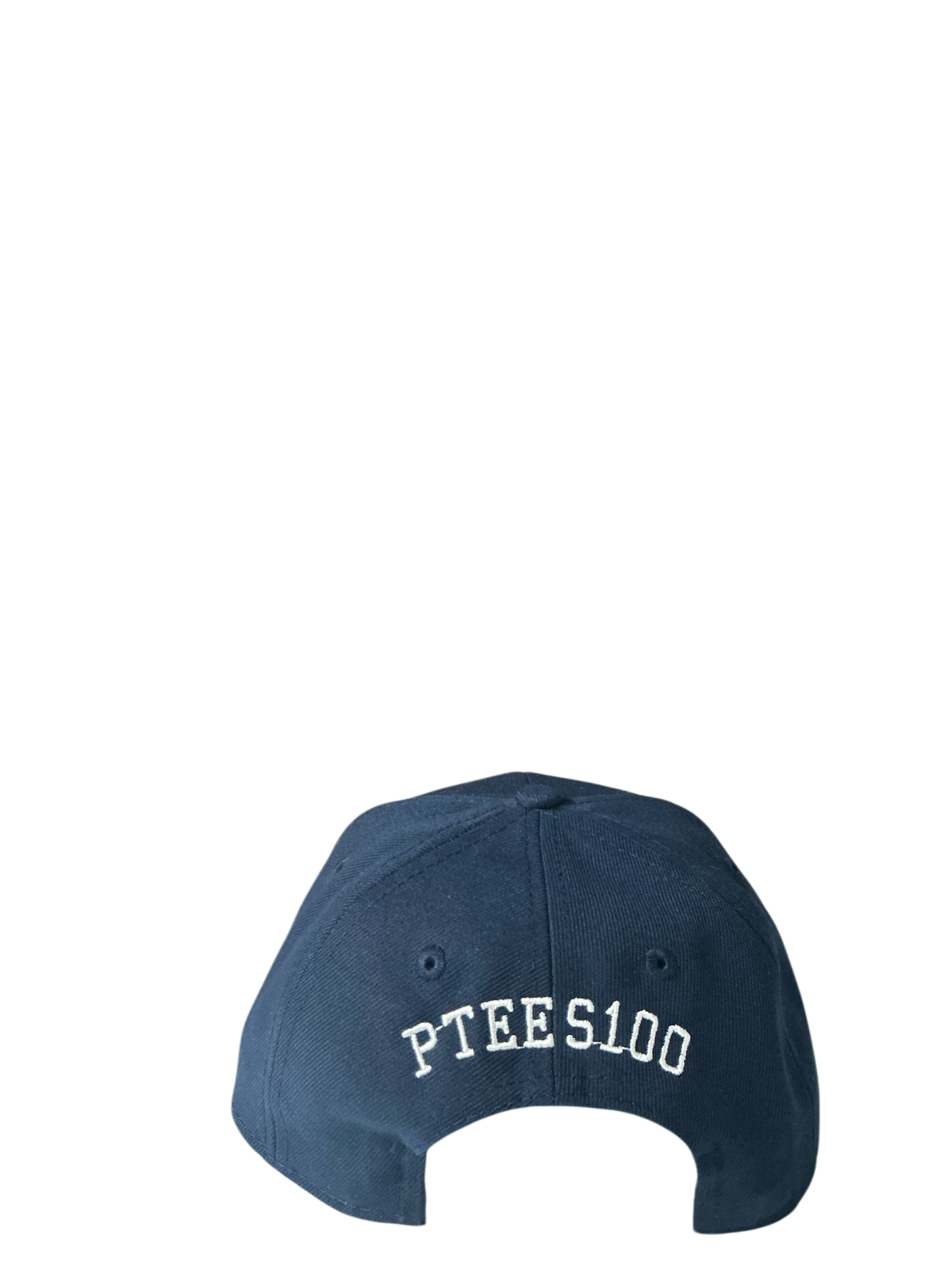 SnapBack Grizzoual 100 Hat
