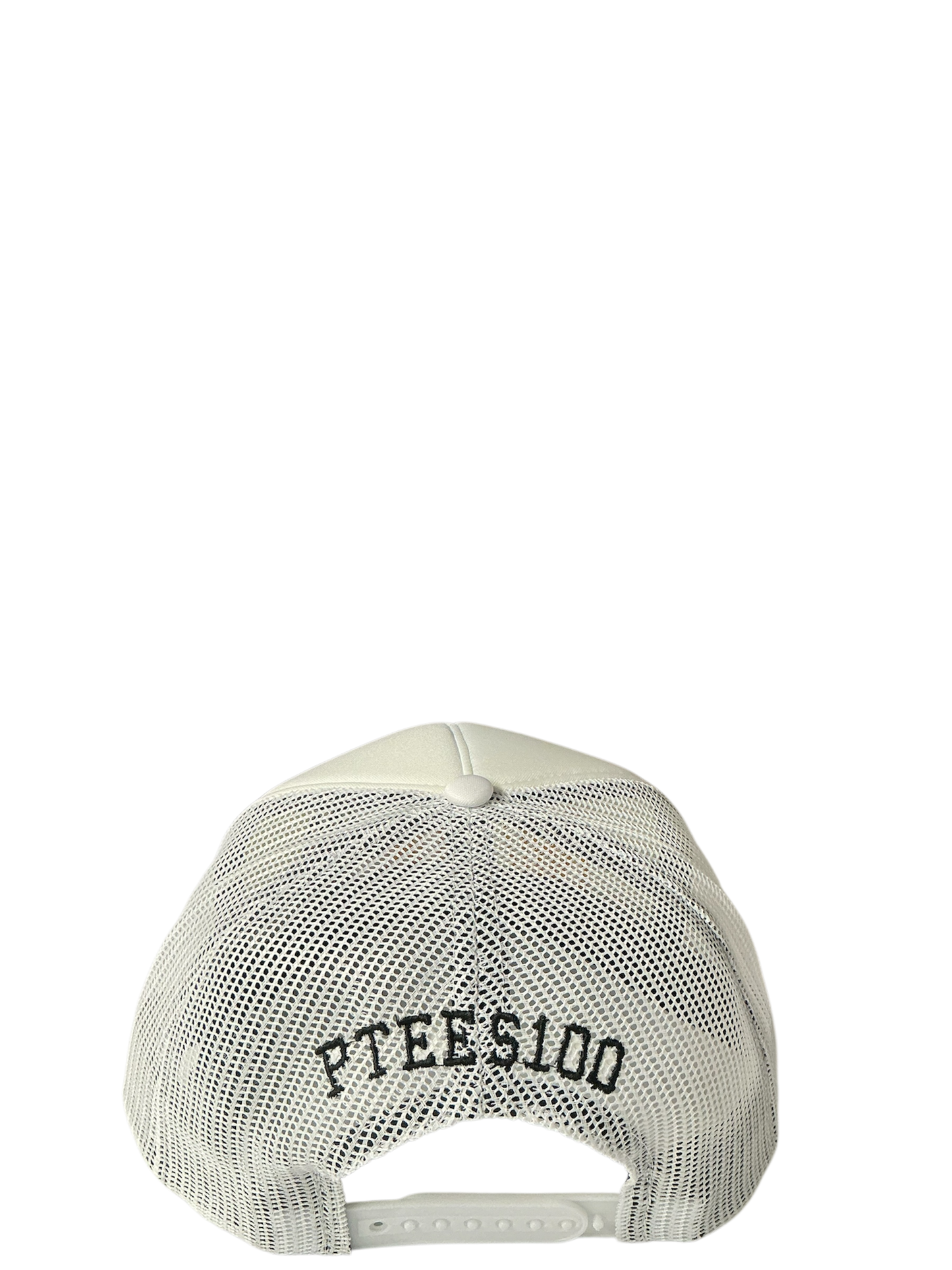 SnapBack Grizzoual 100 Hat