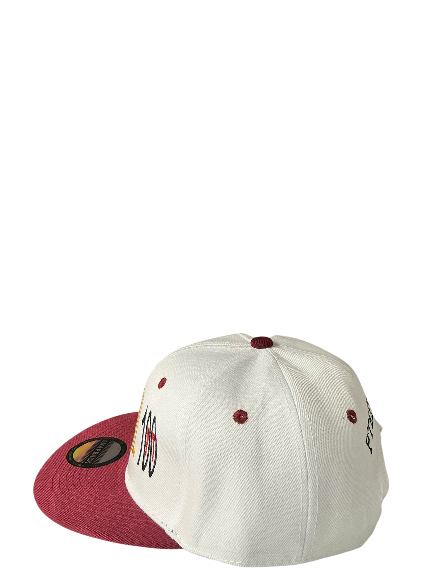 SnapBack Grizzoual 100 Hat