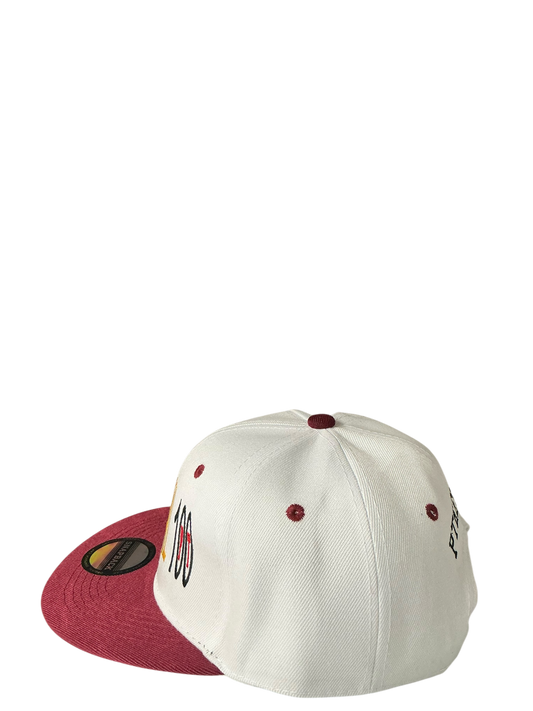 SnapBack Grizzoual 100 Hat