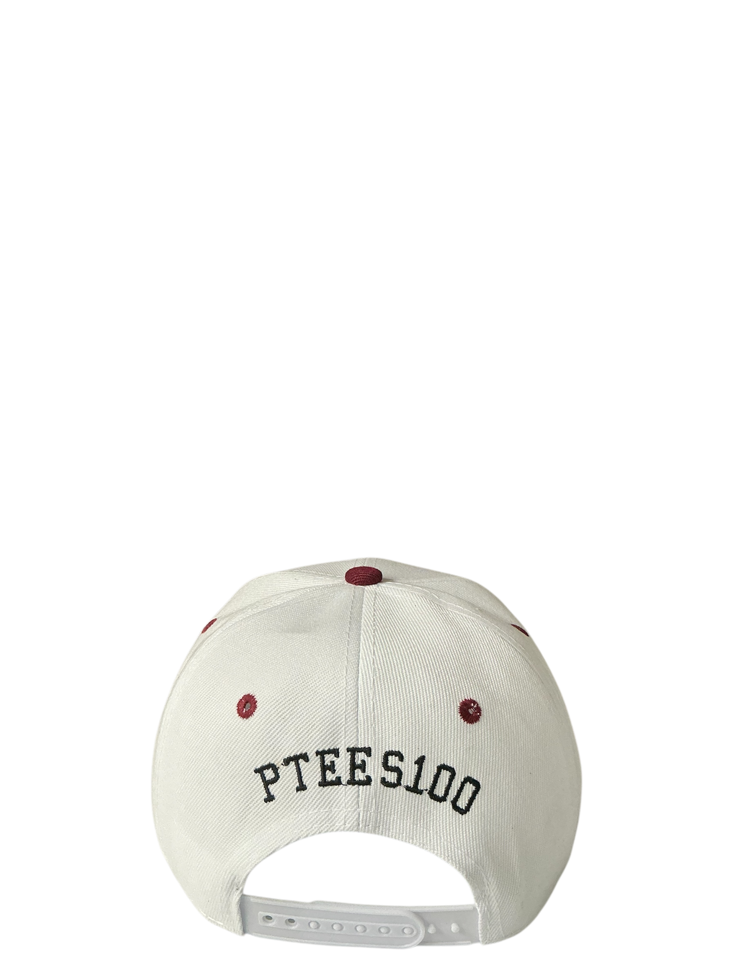 SnapBack Grizzoual 100 Hat