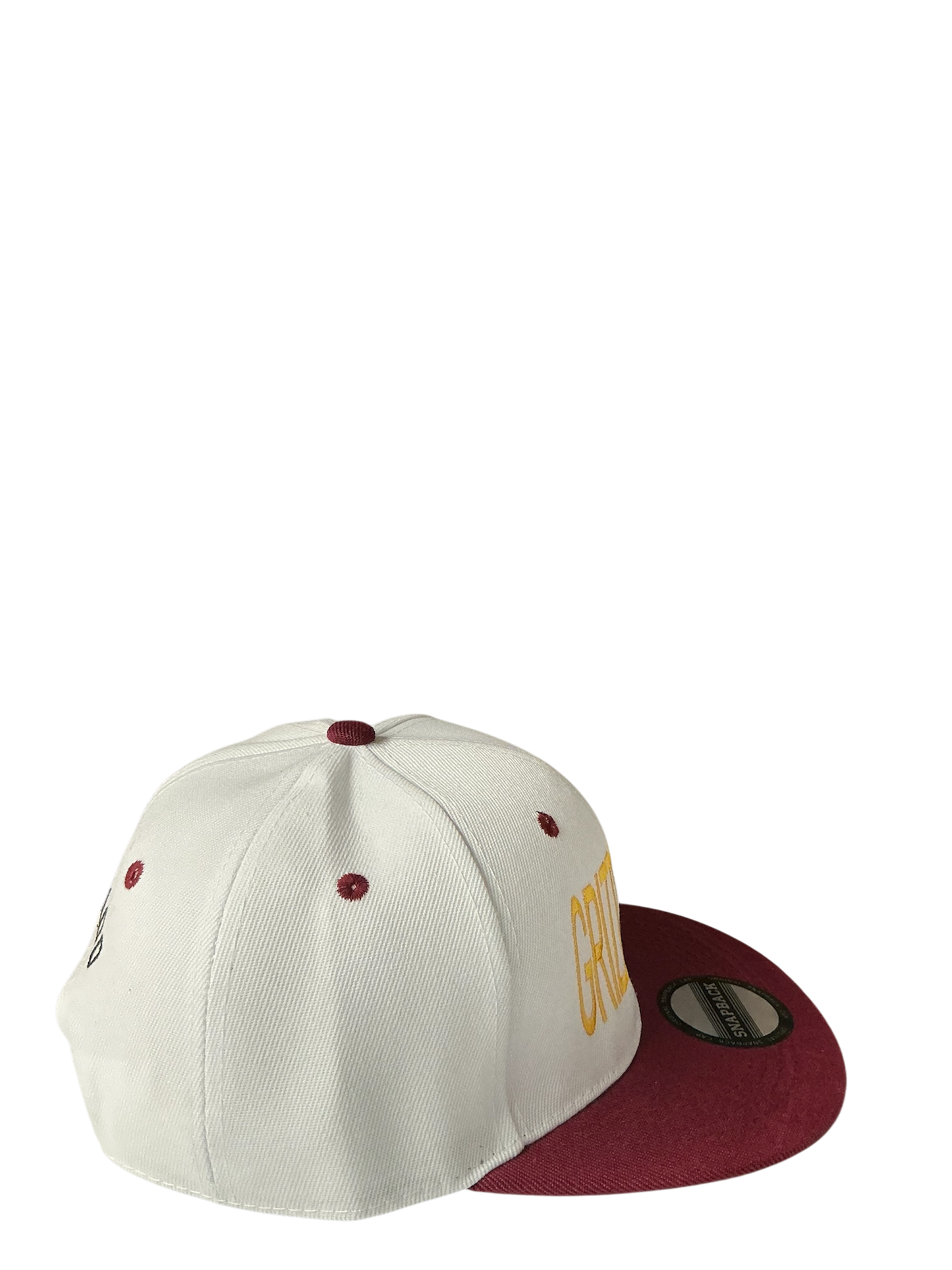 SnapBack Grizzoual 100 Hat