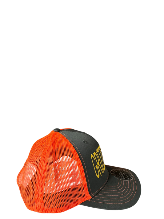 SnapBack Grizzoual 100 Hat