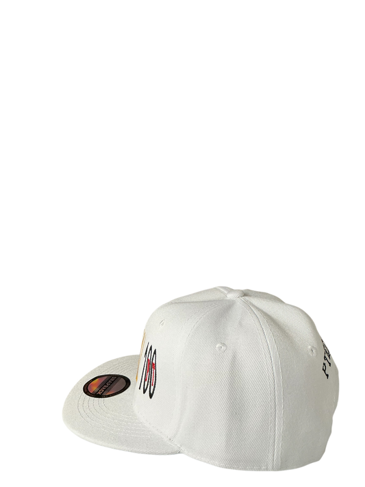 SnapBack Grizzoual 100 Hat