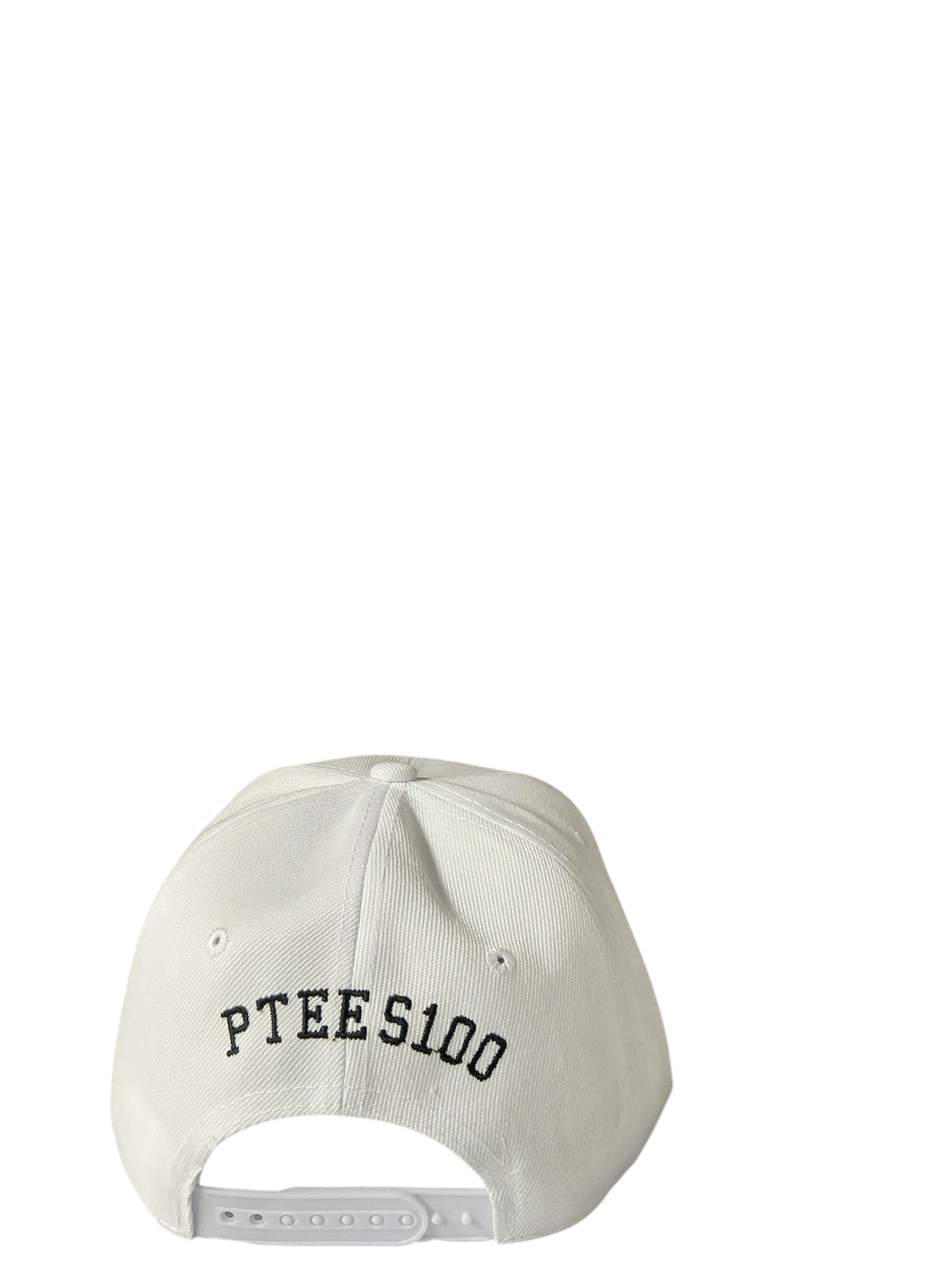 SnapBack Grizzoual 100 Hat