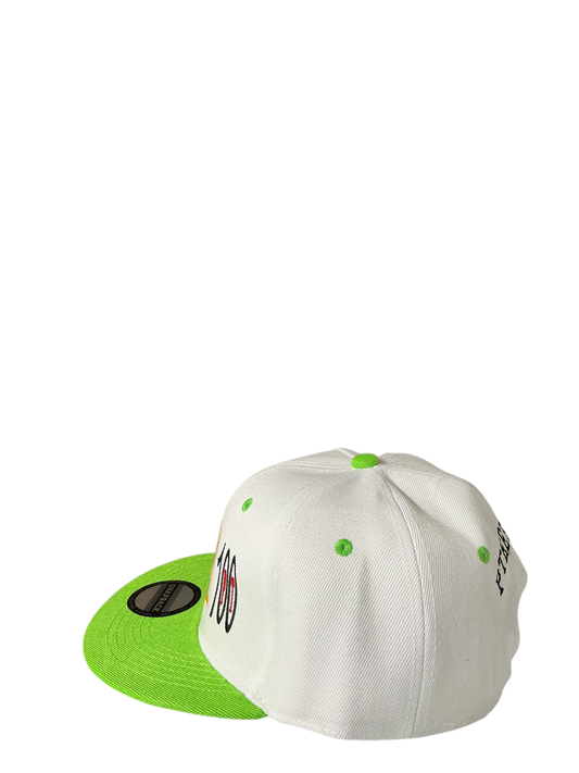SnapBack Grizzoual 100 Hat