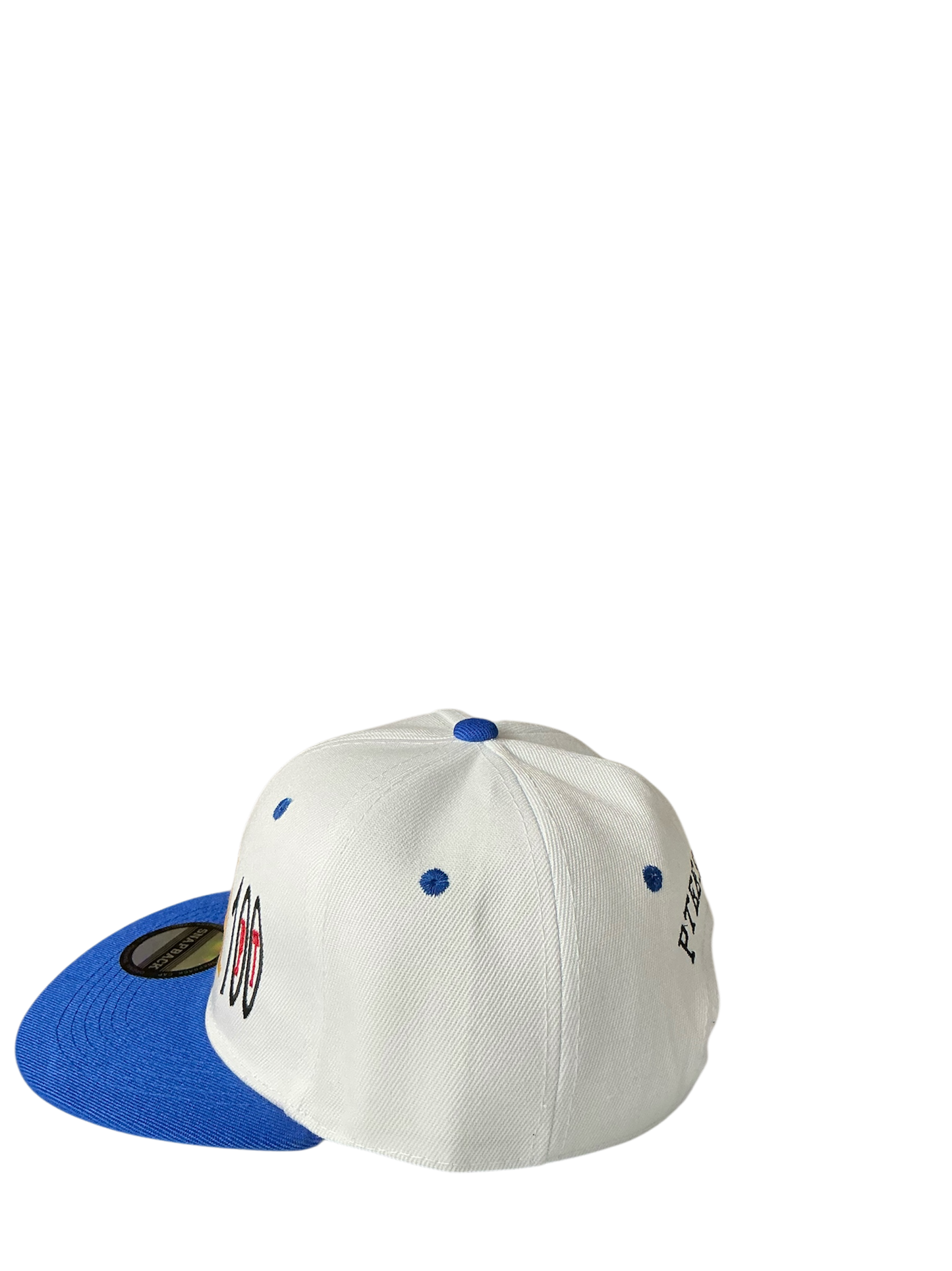 SnapBack Grizzoual 100 Hat