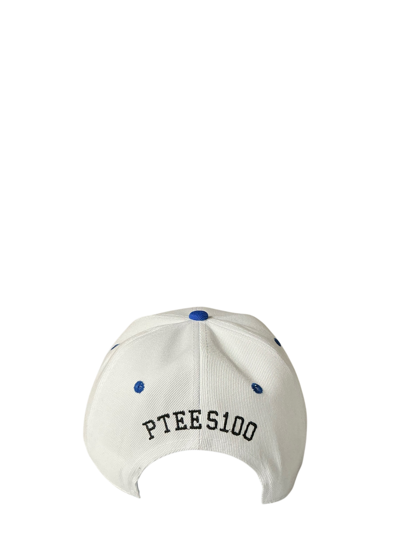 SnapBack Grizzoual 100 Hat
