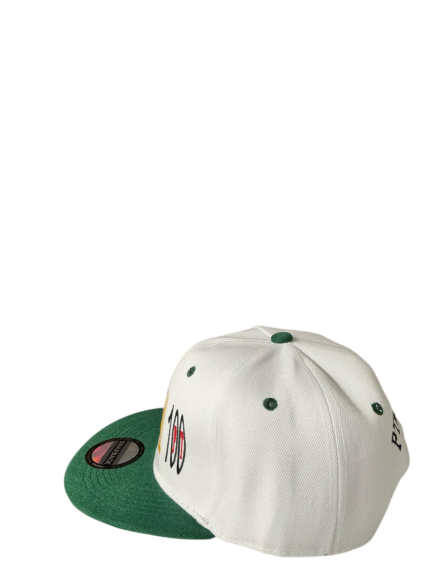 SnapBack Grizzoual 100 Hat