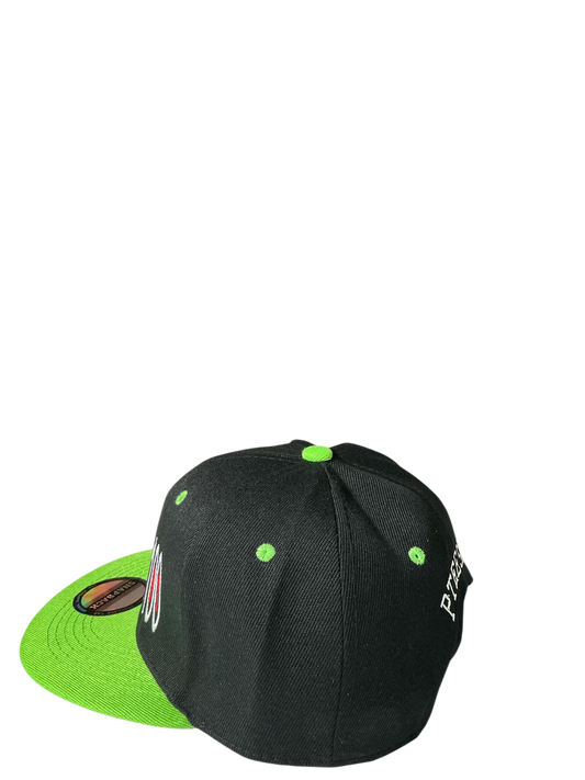 SnapBack Grizzoual 100 Hat