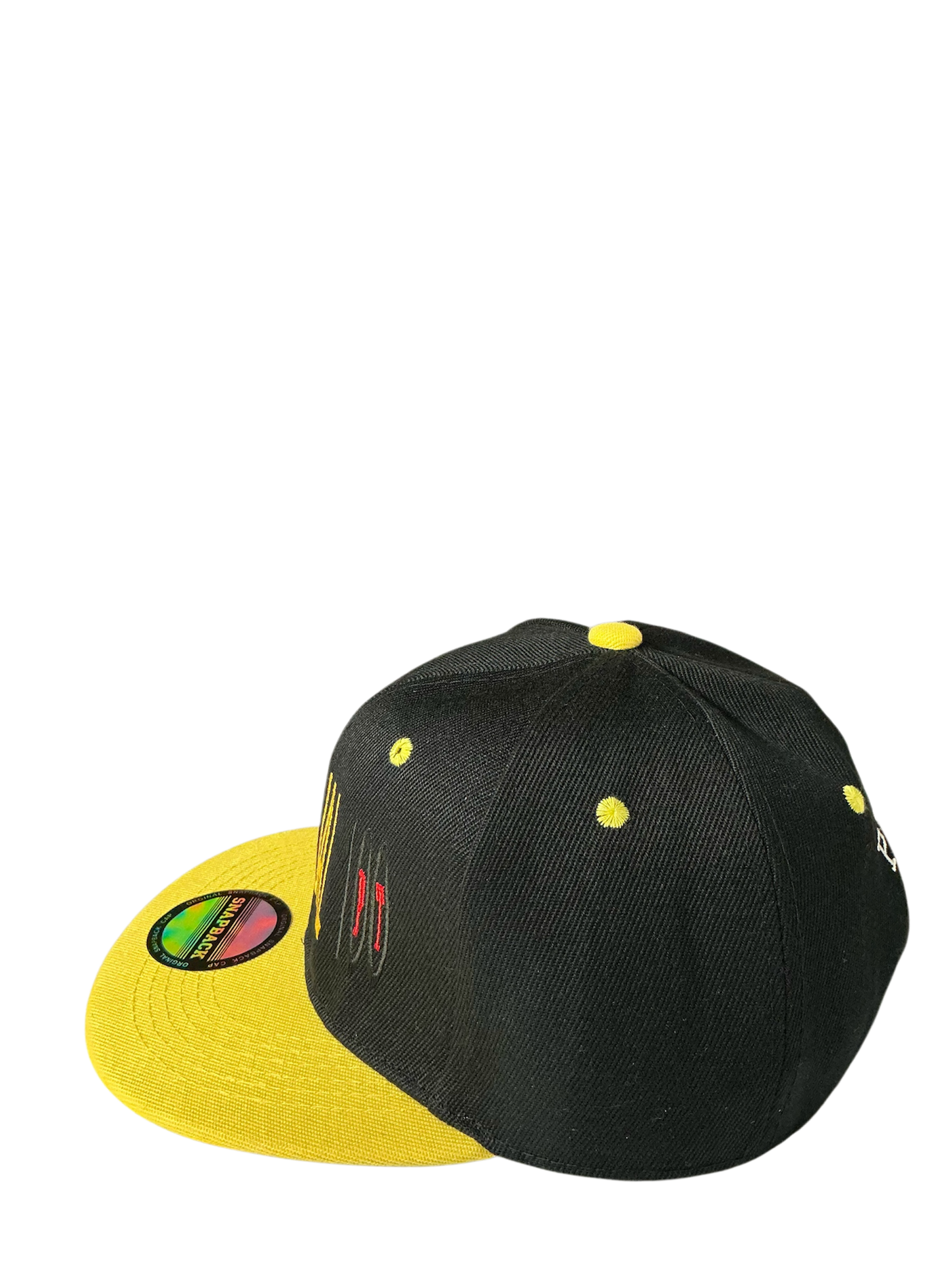 SnapBack Grizzoual 100 Hat