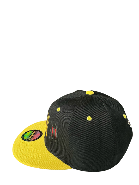 SnapBack Grizzoual 100 Hat