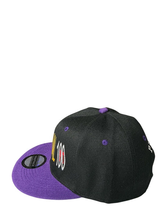 SnapBack Grizzoual 100 Hat