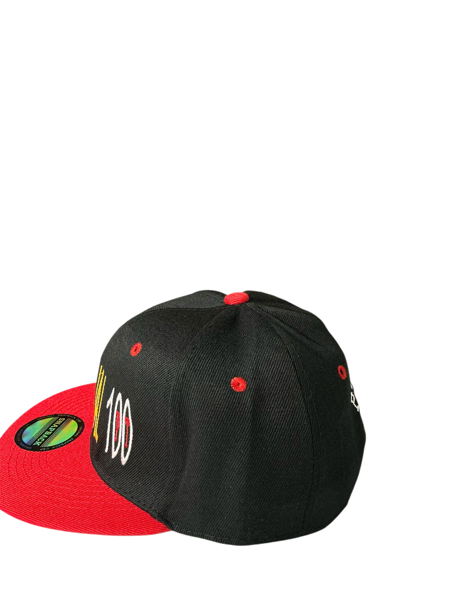 SnapBack Grizzoual 100 Hat