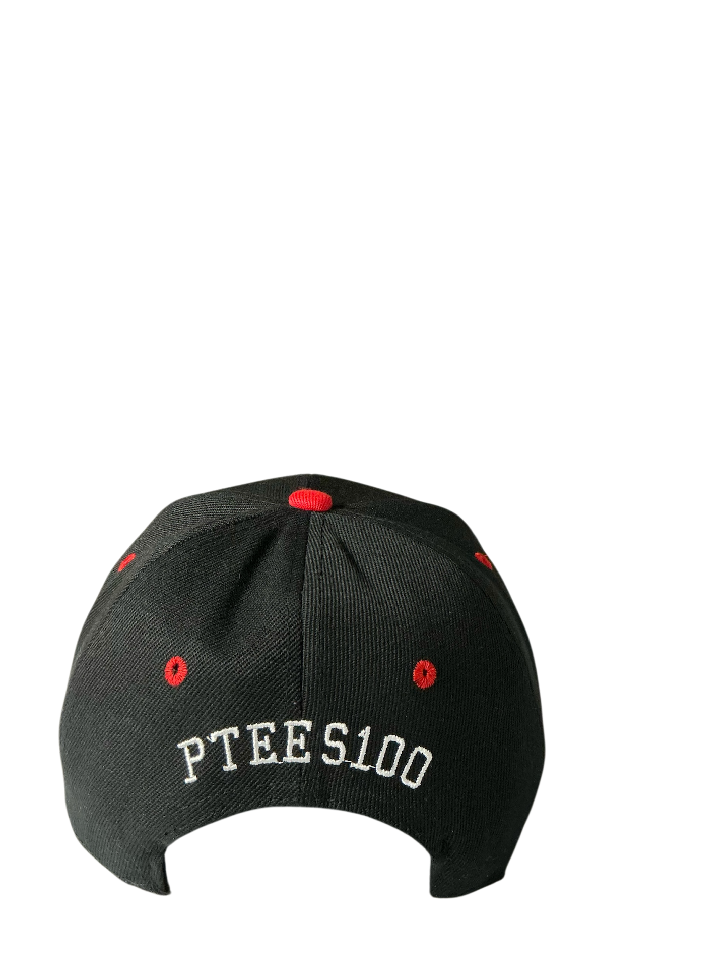 SnapBack Grizzoual 100 Hat