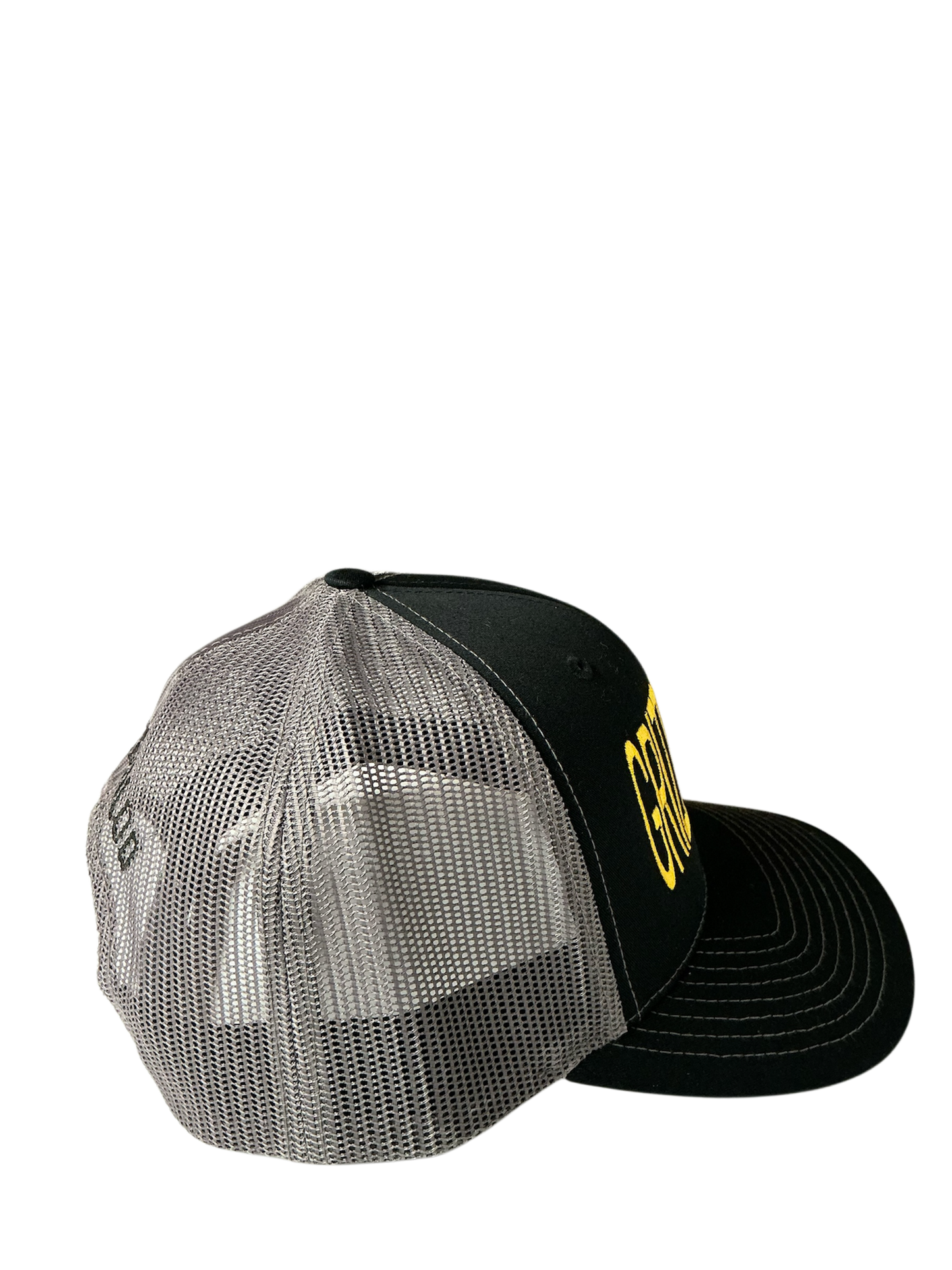 SnapBack Grizzoual 100 Hat